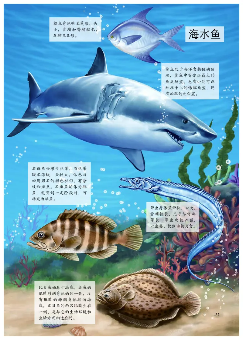 初中二年级上册生物_教资初高中_教资面试2025教资面试备考资料合集_教资面试资料合集_3、教资面试资料包大全_45大圣中小幼面试资料包_初中_生物_初中生物电子课本