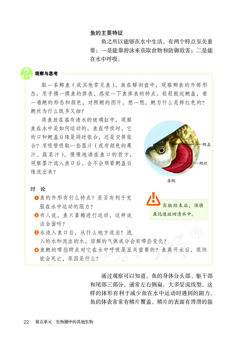 初中二年级上册生物_教资初高中_教资面试2025教资面试备考资料合集_教资面试资料合集_3、教资面试资料包大全_45大圣中小幼面试资料包_初中_生物_初中生物电子课本