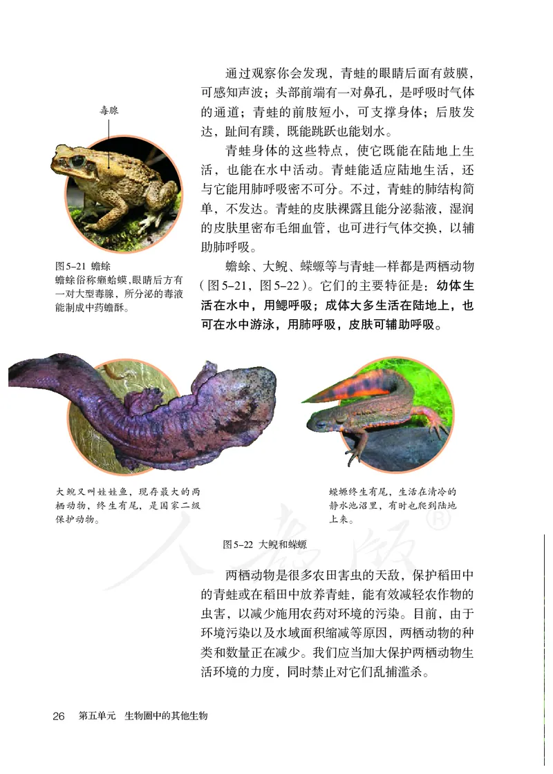 初中二年级上册生物_教资初高中_教资面试2025教资面试备考资料合集_教资面试资料合集_3、教资面试资料包大全_45大圣中小幼面试资料包_初中_生物_初中生物电子课本