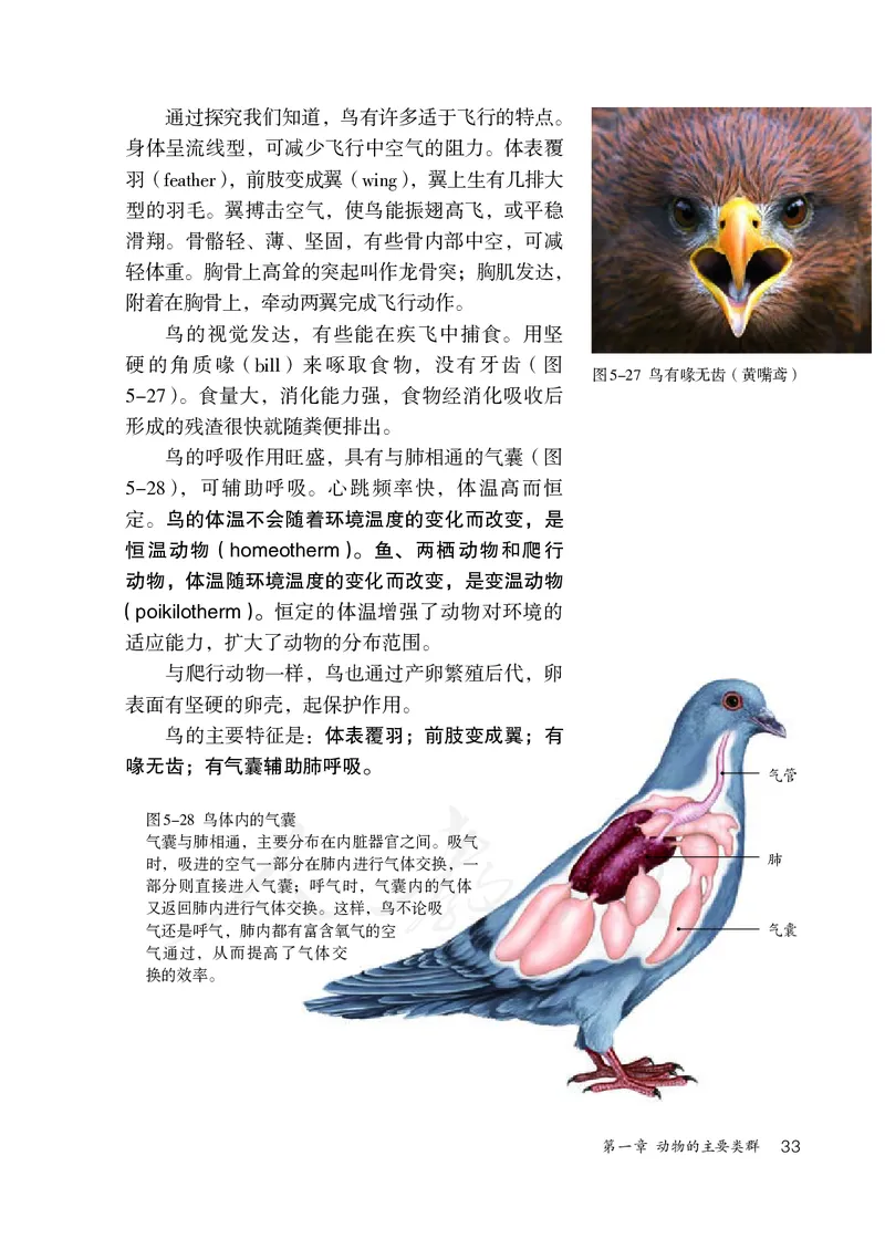 初中二年级上册生物_教资初高中_教资面试2025教资面试备考资料合集_教资面试资料合集_3、教资面试资料包大全_45大圣中小幼面试资料包_初中_生物_初中生物电子课本