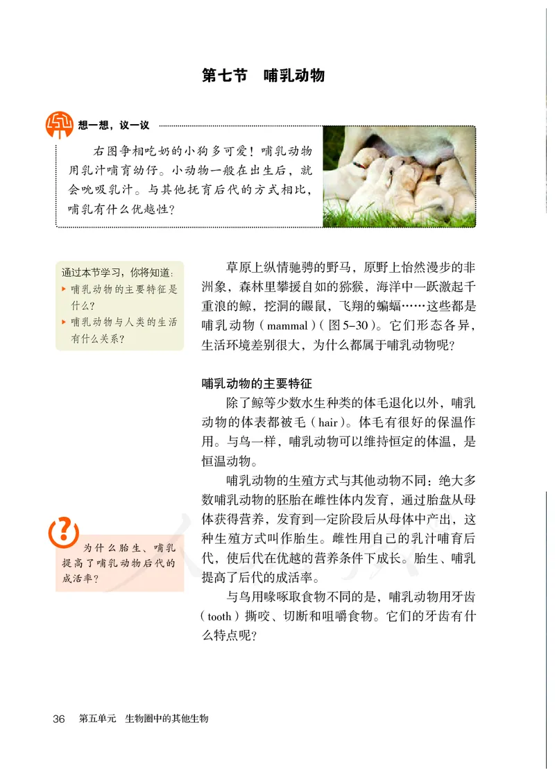 初中二年级上册生物_教资初高中_教资面试2025教资面试备考资料合集_教资面试资料合集_3、教资面试资料包大全_45大圣中小幼面试资料包_初中_生物_初中生物电子课本