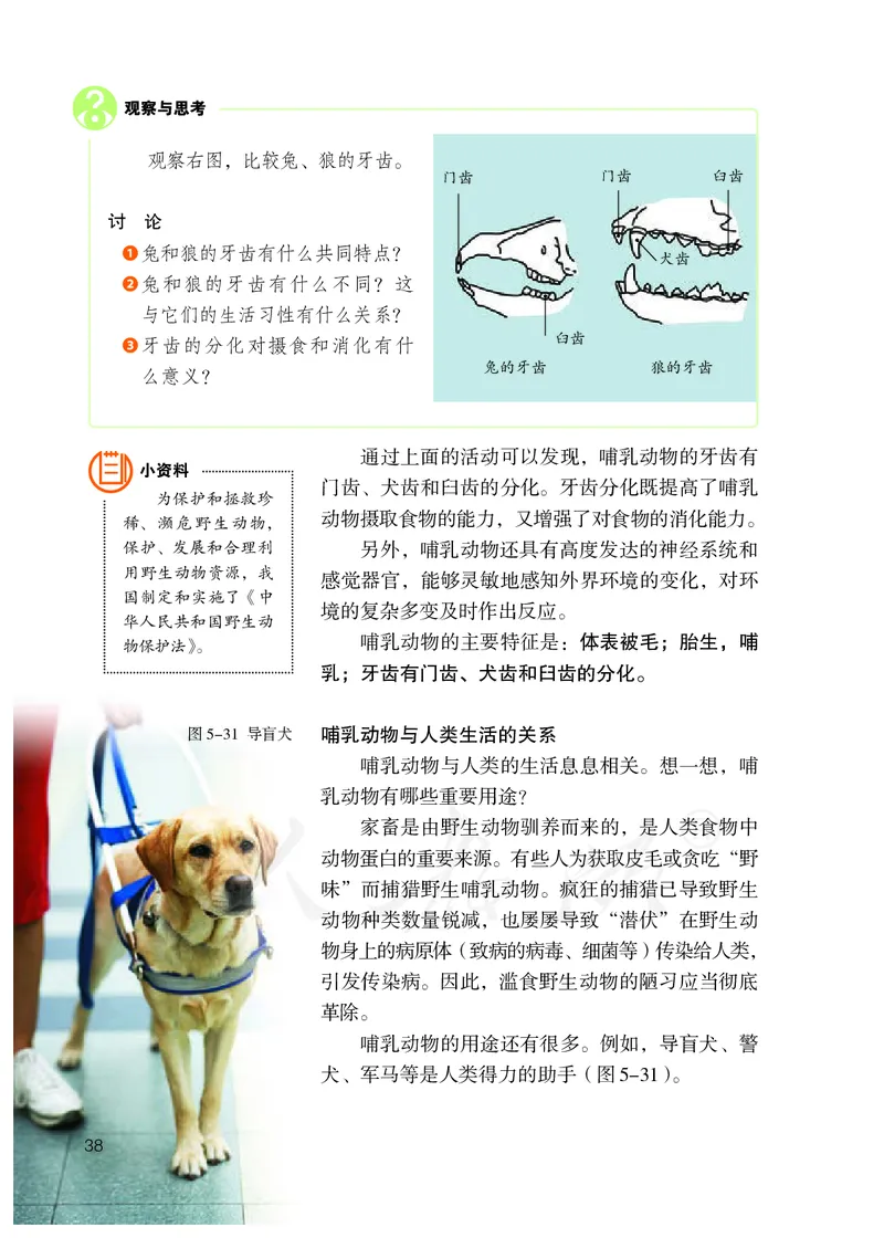 初中二年级上册生物_教资初高中_教资面试2025教资面试备考资料合集_教资面试资料合集_3、教资面试资料包大全_45大圣中小幼面试资料包_初中_生物_初中生物电子课本