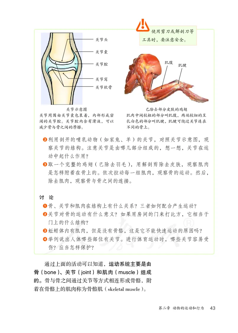 初中二年级上册生物_教资初高中_教资面试2025教资面试备考资料合集_教资面试资料合集_3、教资面试资料包大全_45大圣中小幼面试资料包_初中_生物_初中生物电子课本
