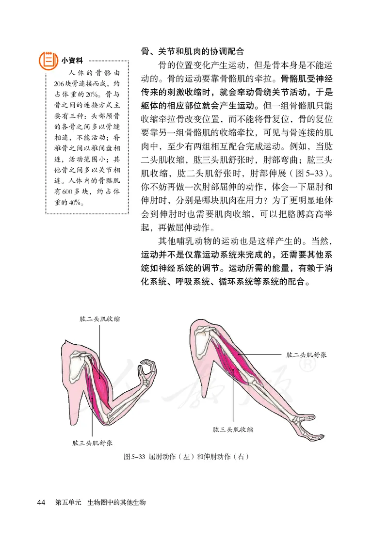 初中二年级上册生物_教资初高中_教资面试2025教资面试备考资料合集_教资面试资料合集_3、教资面试资料包大全_45大圣中小幼面试资料包_初中_生物_初中生物电子课本