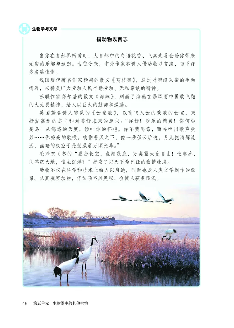 初中二年级上册生物_教资初高中_教资面试2025教资面试备考资料合集_教资面试资料合集_3、教资面试资料包大全_45大圣中小幼面试资料包_初中_生物_初中生物电子课本