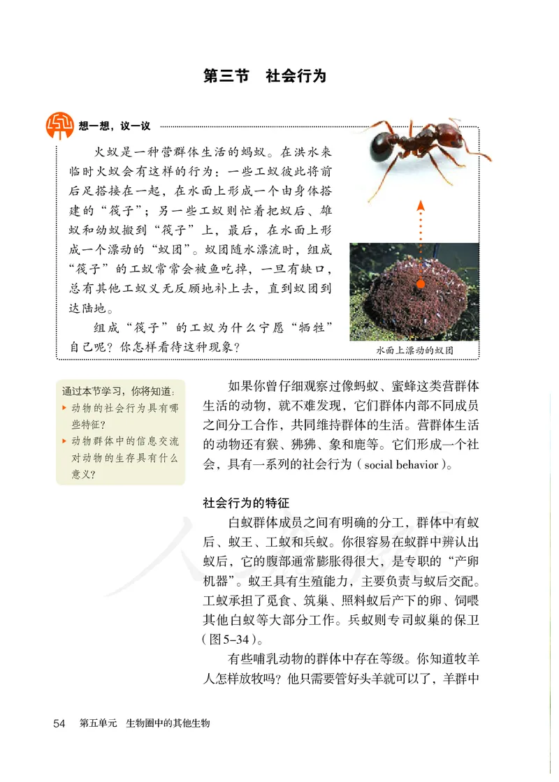 初中二年级上册生物_教资初高中_教资面试2025教资面试备考资料合集_教资面试资料合集_3、教资面试资料包大全_45大圣中小幼面试资料包_初中_生物_初中生物电子课本