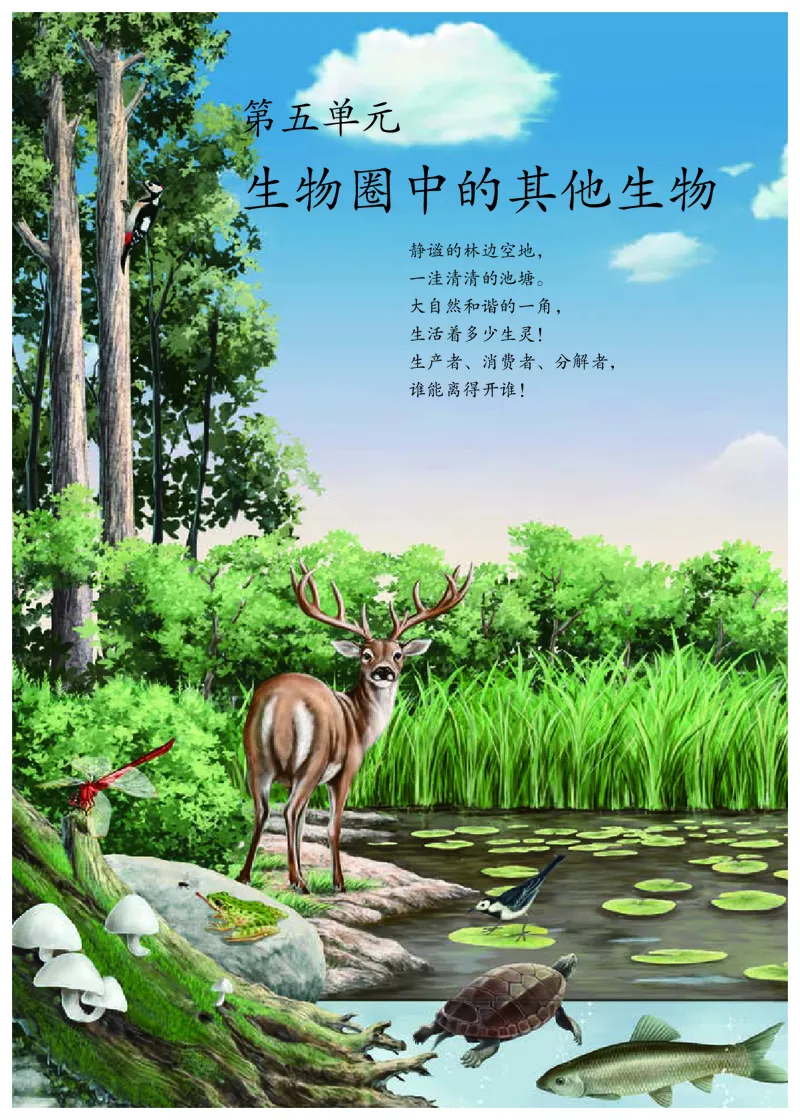 初中二年级上册生物_教资初高中_教资面试2025教资面试备考资料合集_教资面试资料合集_3、教资面试资料包大全_45大圣中小幼面试资料包_初中_生物_初中生物电子课本