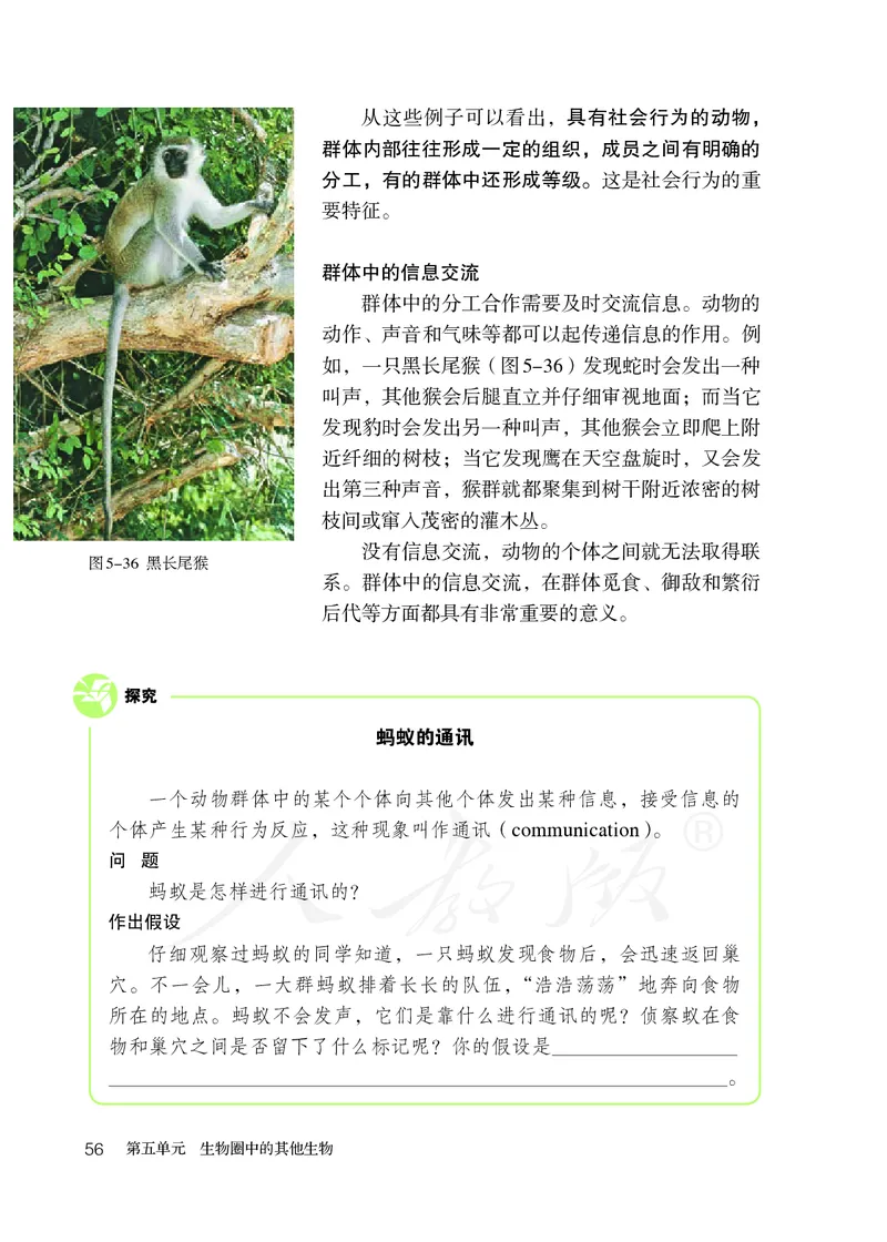 初中二年级上册生物_教资初高中_教资面试2025教资面试备考资料合集_教资面试资料合集_3、教资面试资料包大全_45大圣中小幼面试资料包_初中_生物_初中生物电子课本