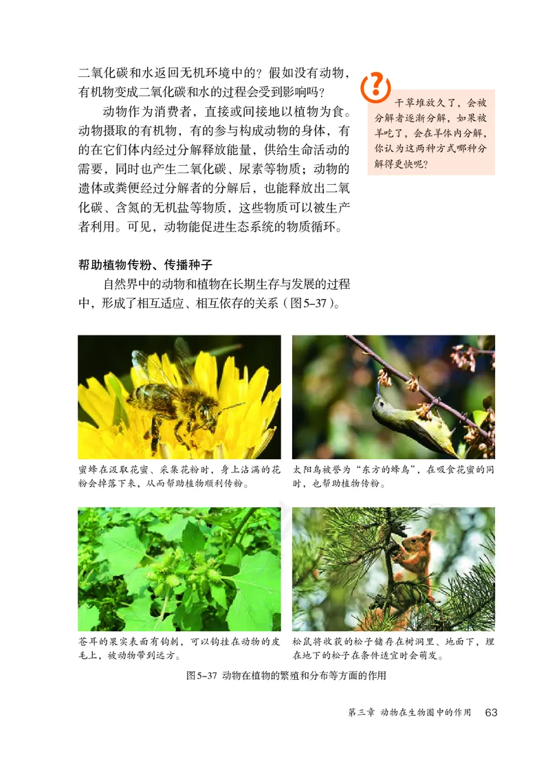 初中二年级上册生物_教资初高中_教资面试2025教资面试备考资料合集_教资面试资料合集_3、教资面试资料包大全_45大圣中小幼面试资料包_初中_生物_初中生物电子课本
