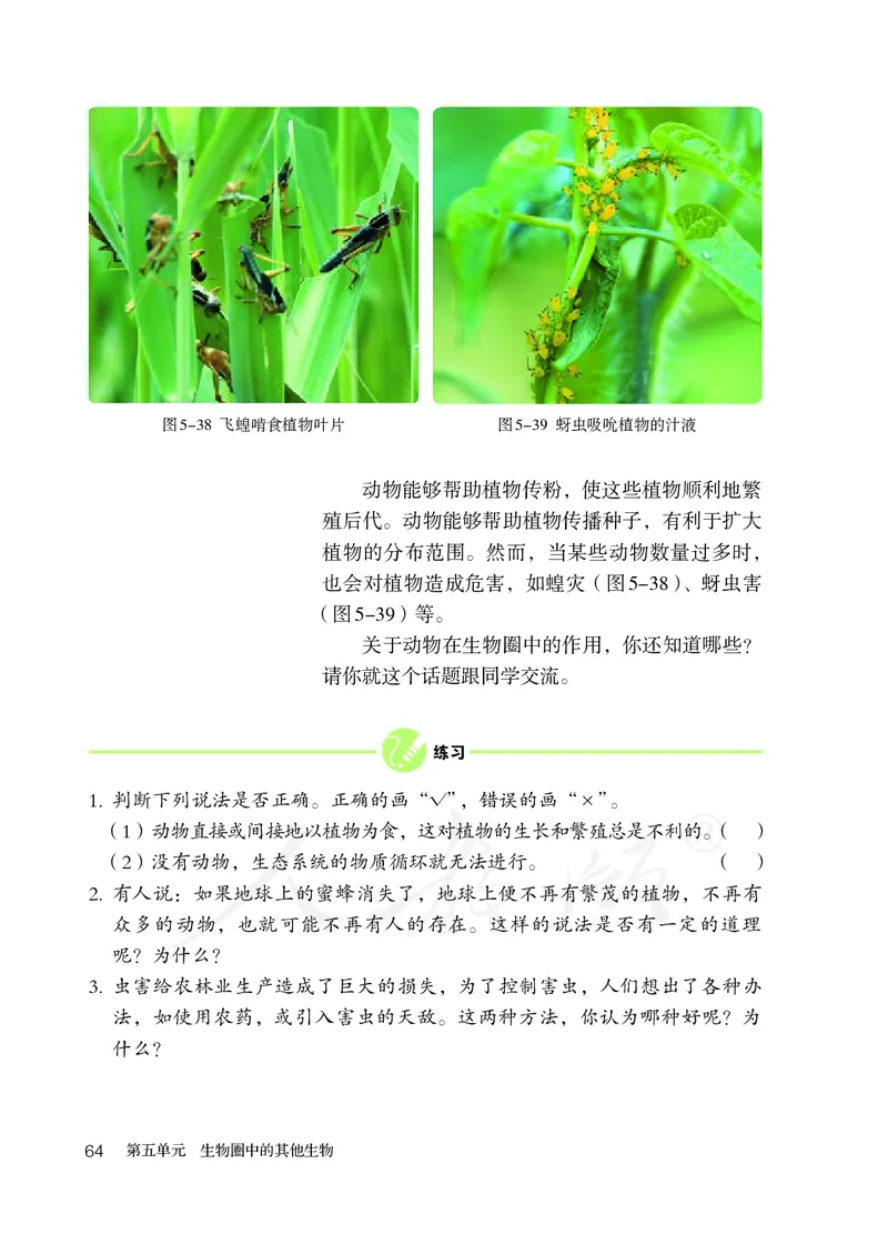 初中二年级上册生物_教资初高中_教资面试2025教资面试备考资料合集_教资面试资料合集_3、教资面试资料包大全_45大圣中小幼面试资料包_初中_生物_初中生物电子课本
