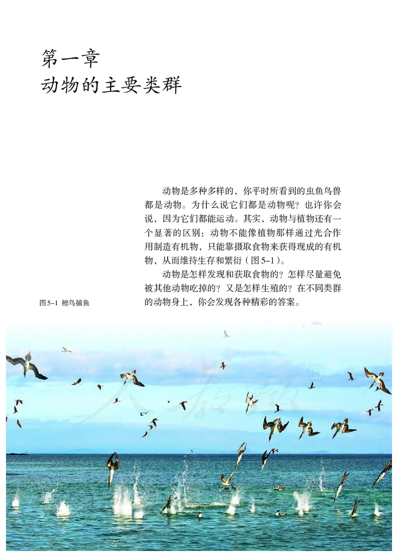 初中二年级上册生物_教资初高中_教资面试2025教资面试备考资料合集_教资面试资料合集_3、教资面试资料包大全_45大圣中小幼面试资料包_初中_生物_初中生物电子课本