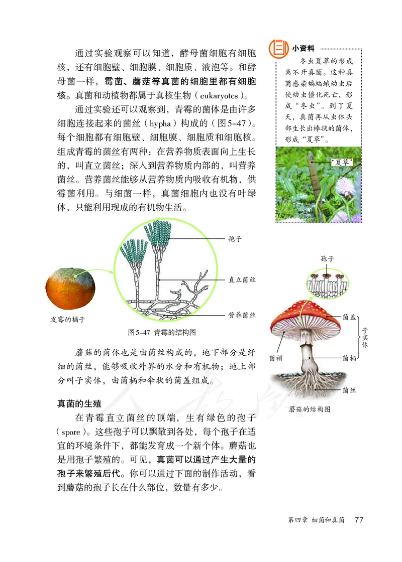 初中二年级上册生物_教资初高中_教资面试2025教资面试备考资料合集_教资面试资料合集_3、教资面试资料包大全_45大圣中小幼面试资料包_初中_生物_初中生物电子课本