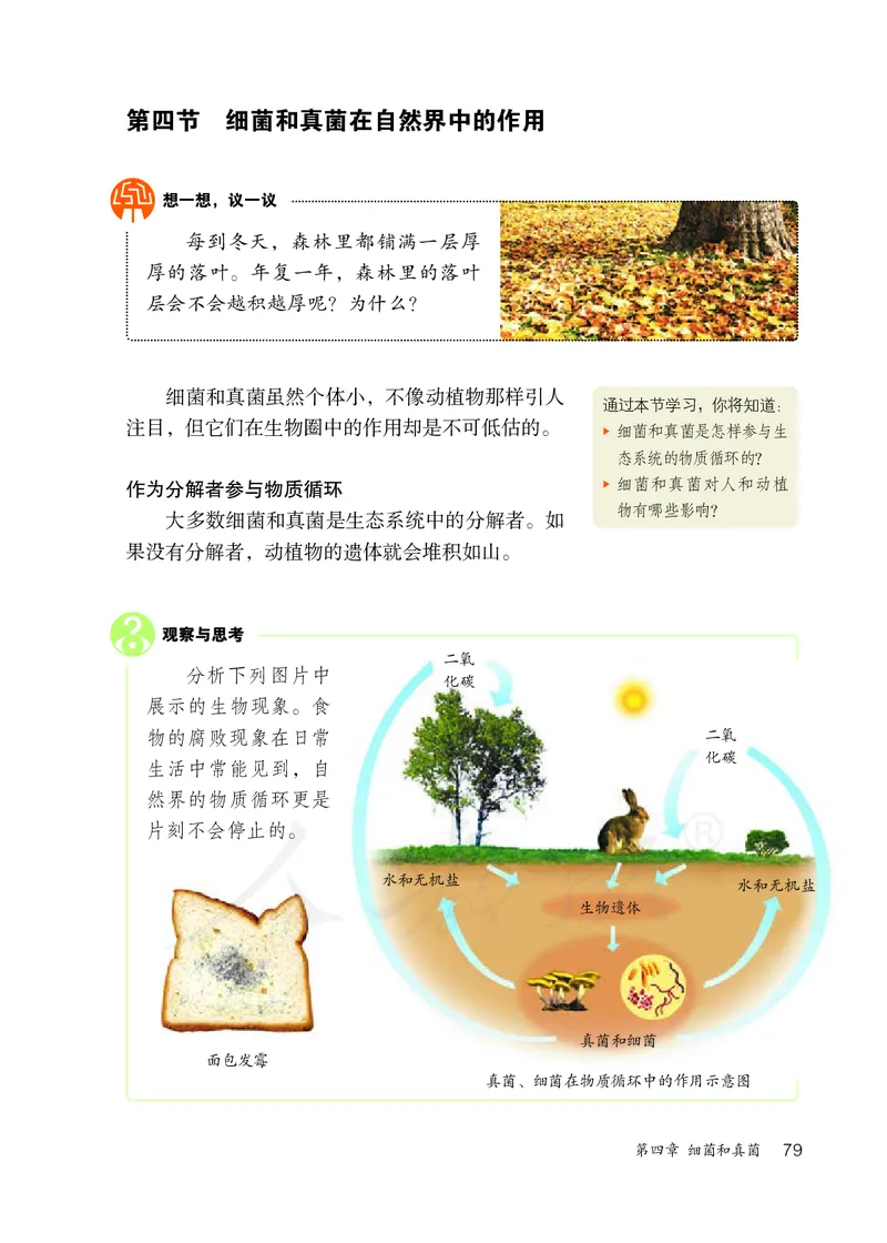 初中二年级上册生物_教资初高中_教资面试2025教资面试备考资料合集_教资面试资料合集_3、教资面试资料包大全_45大圣中小幼面试资料包_初中_生物_初中生物电子课本