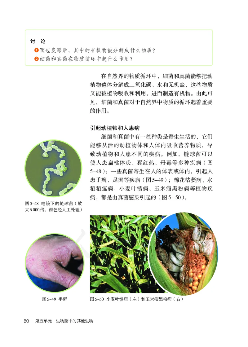 初中二年级上册生物_教资初高中_教资面试2025教资面试备考资料合集_教资面试资料合集_3、教资面试资料包大全_45大圣中小幼面试资料包_初中_生物_初中生物电子课本