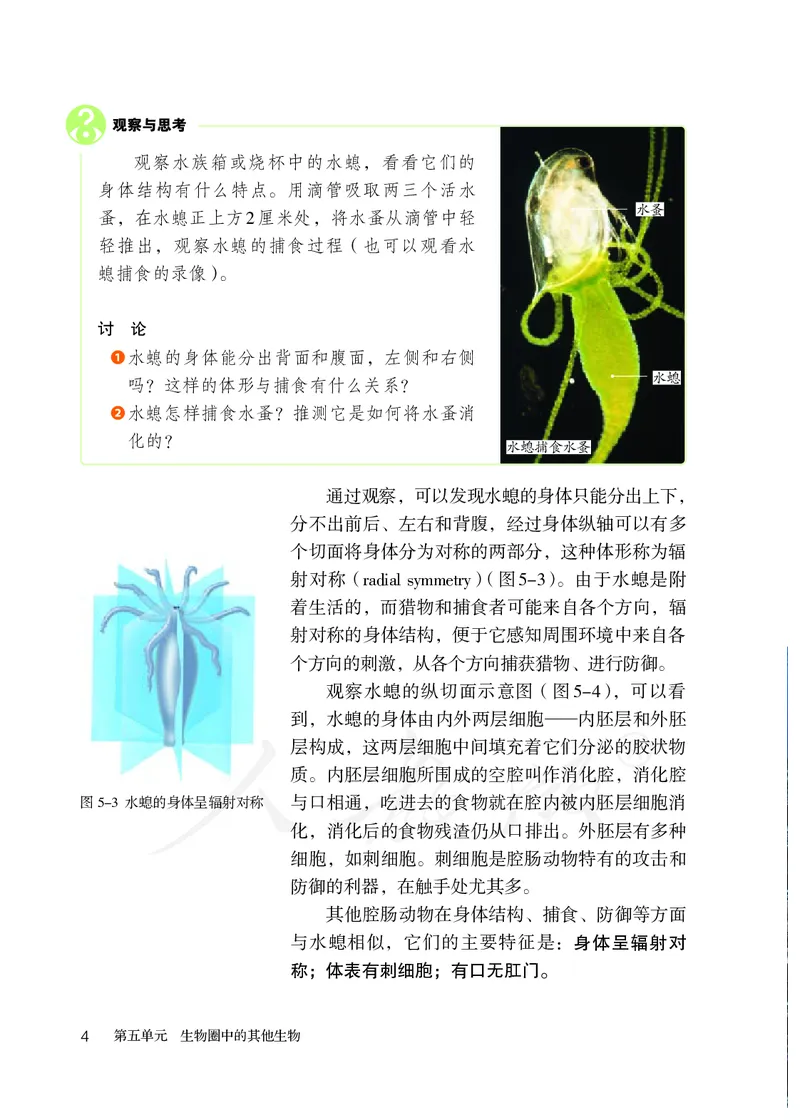 初中二年级上册生物_教资初高中_教资面试2025教资面试备考资料合集_教资面试资料合集_3、教资面试资料包大全_45大圣中小幼面试资料包_初中_生物_初中生物电子课本