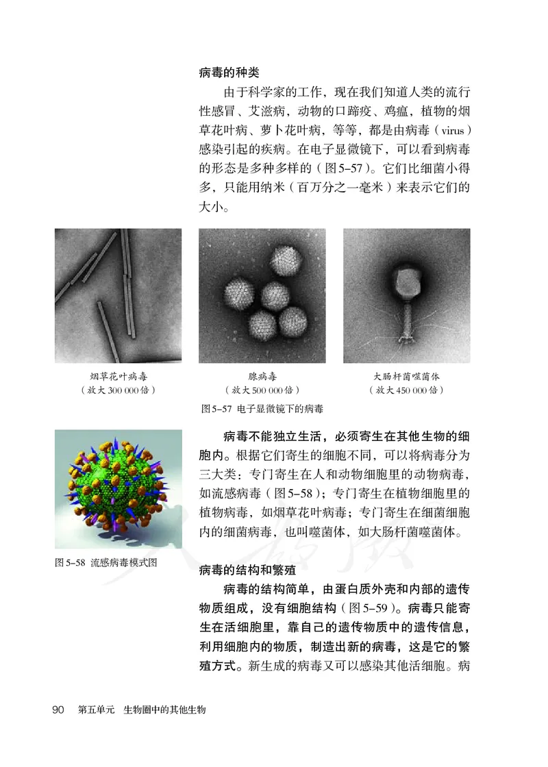 初中二年级上册生物_教资初高中_教资面试2025教资面试备考资料合集_教资面试资料合集_3、教资面试资料包大全_45大圣中小幼面试资料包_初中_生物_初中生物电子课本