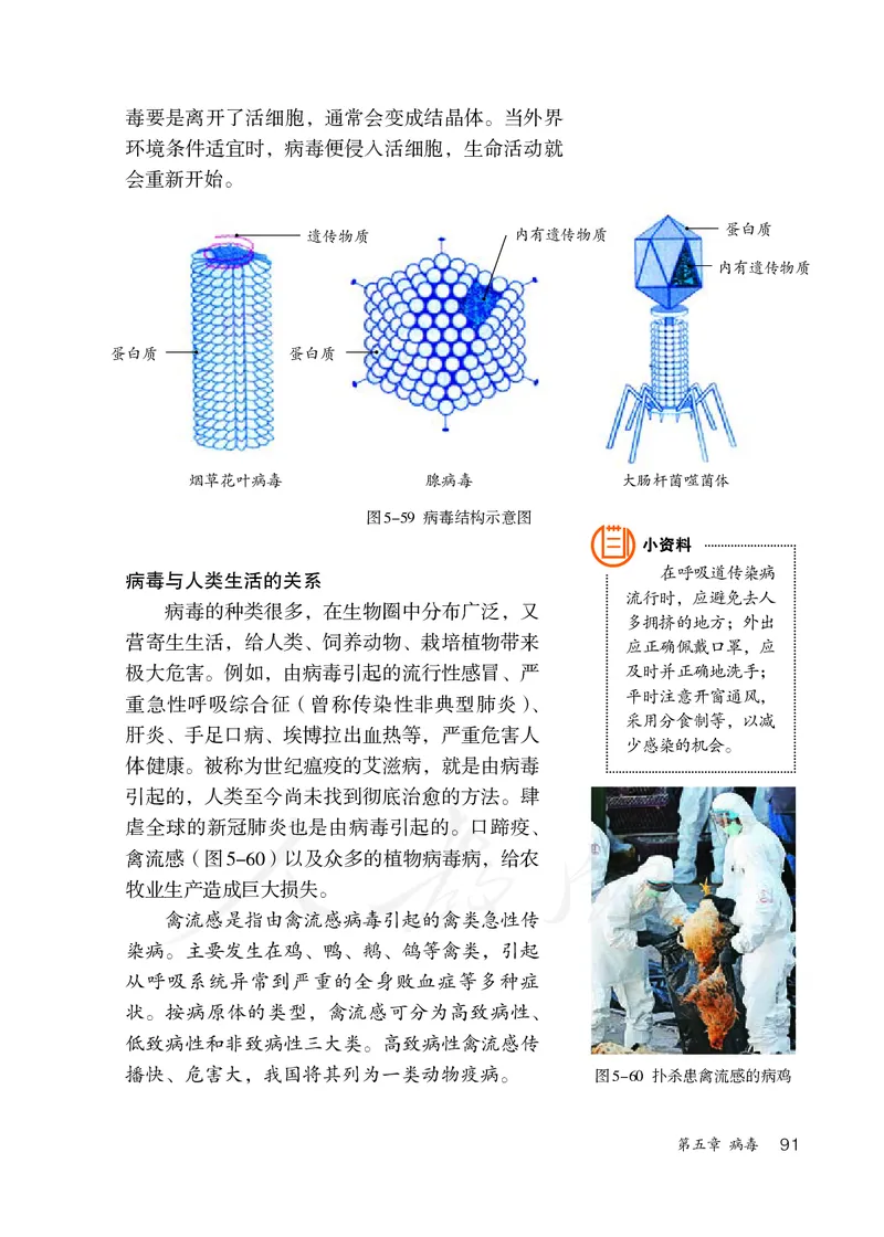 初中二年级上册生物_教资初高中_教资面试2025教资面试备考资料合集_教资面试资料合集_3、教资面试资料包大全_45大圣中小幼面试资料包_初中_生物_初中生物电子课本