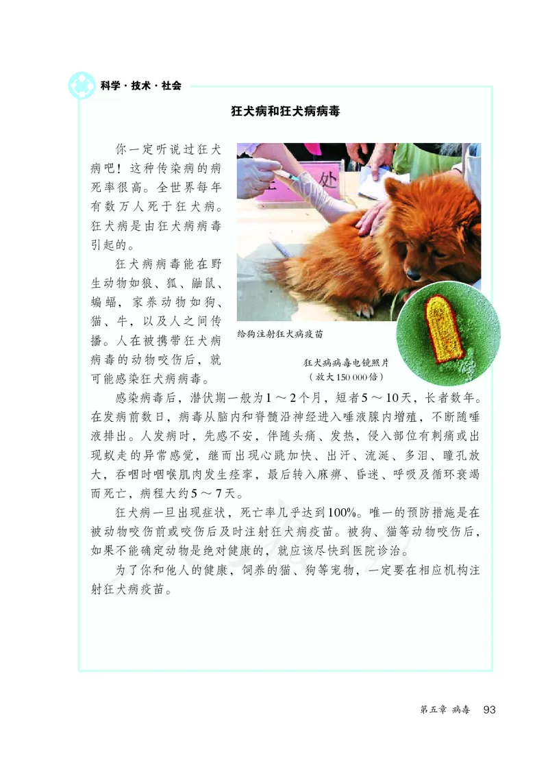 初中二年级上册生物_教资初高中_教资面试2025教资面试备考资料合集_教资面试资料合集_3、教资面试资料包大全_45大圣中小幼面试资料包_初中_生物_初中生物电子课本