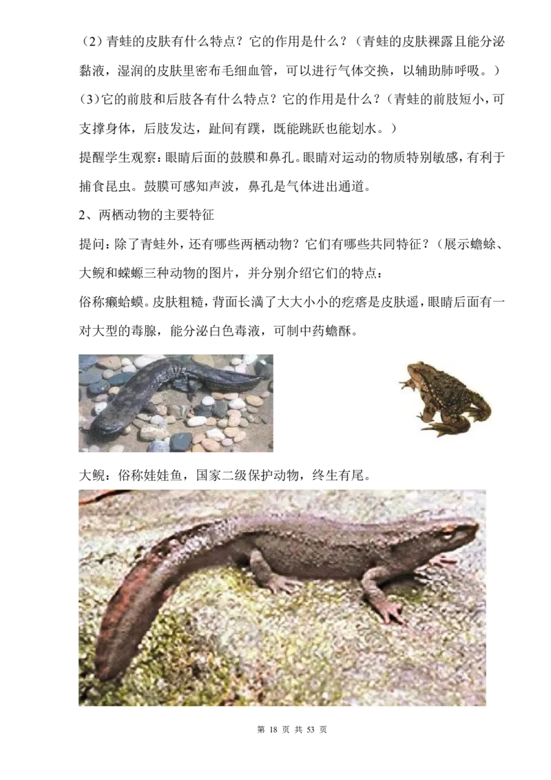 人教版八年级生物上册教案全集(1)_教资初高中_教资面试2025教资面试备考资料合集_教资面试资料合集_2025教资面试资料_25上教资面试-小学资料包_19教案：合集_初中学科全册教案