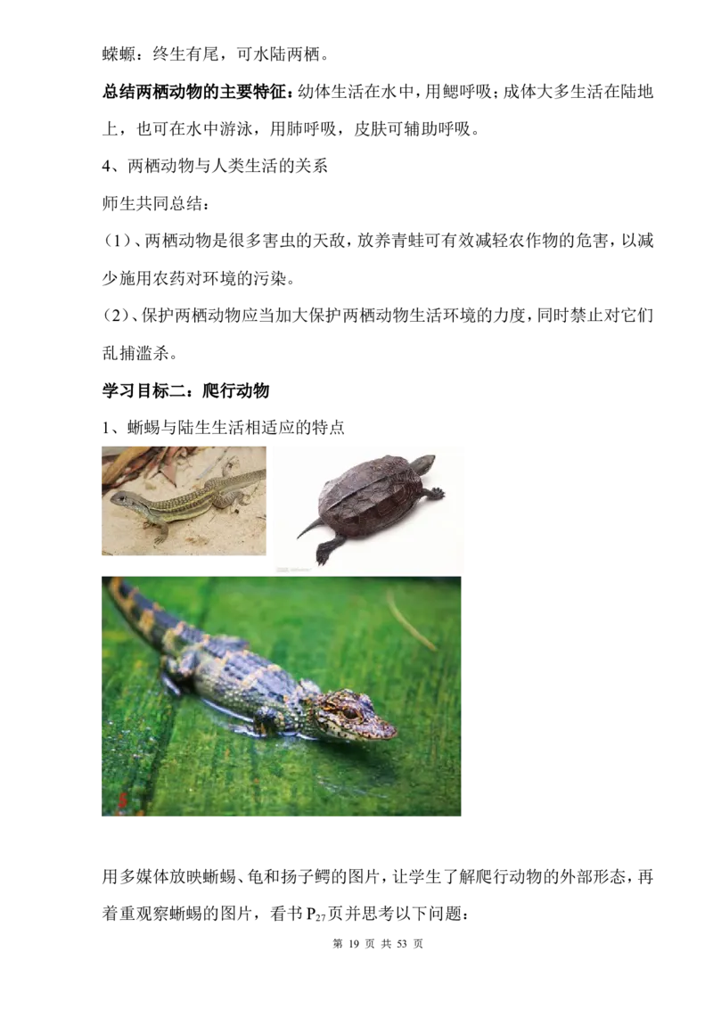 人教版八年级生物上册教案全集(1)_教资初高中_教资面试2025教资面试备考资料合集_教资面试资料合集_2025教资面试资料_25上教资面试-小学资料包_19教案：合集_初中学科全册教案