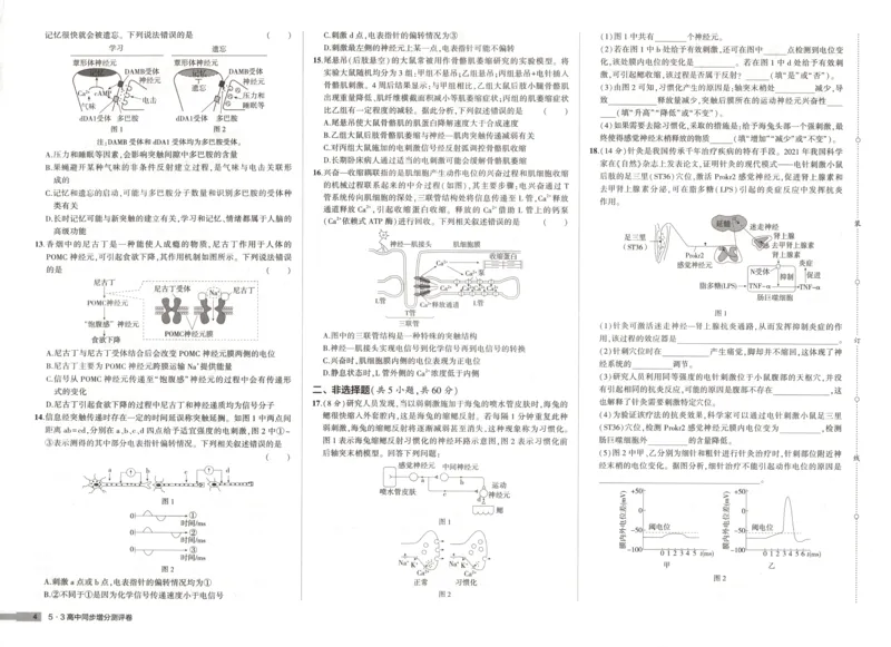 增分测评卷_2026版53五年高考三年模拟高中同步练习选择性必修一二三电子版3.25秋-高中53同步练习册_06.生物_53同步生物选修1RJ