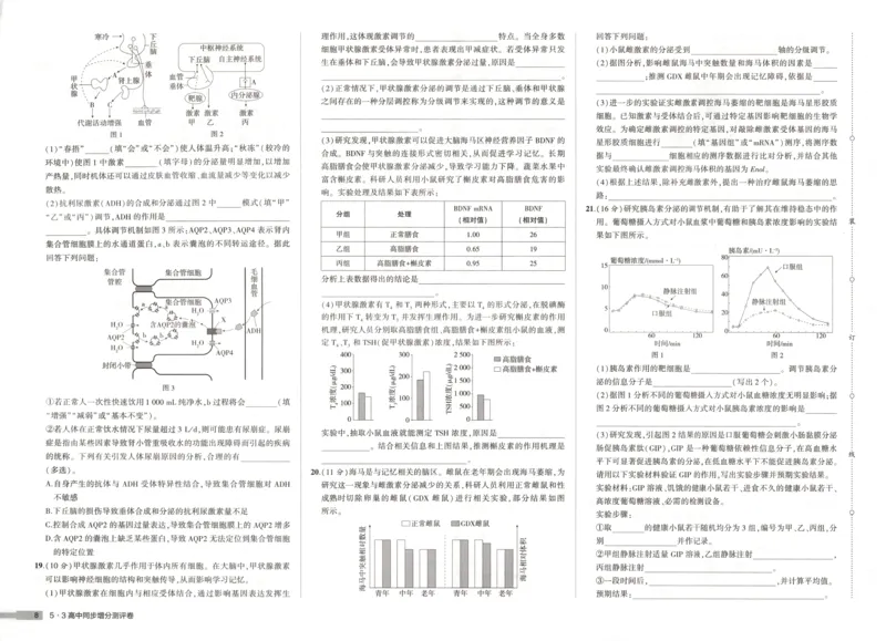增分测评卷_2026版53五年高考三年模拟高中同步练习选择性必修一二三电子版3.25秋-高中53同步练习册_06.生物_53同步生物选修1RJ