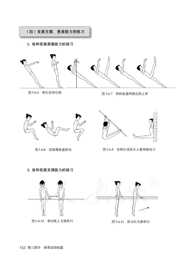 小学五六年级体育与健康_教资初高中_教资面试2025教资面试备考资料合集_教资面试资料合集_3、教资面试资料包大全_45大圣中小幼面试资料包_小学_体育_电子课本