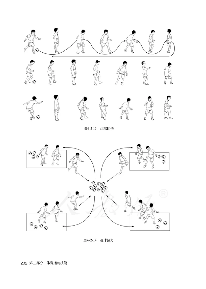 小学五六年级体育与健康_教资初高中_教资面试2025教资面试备考资料合集_教资面试资料合集_3、教资面试资料包大全_45大圣中小幼面试资料包_小学_体育_电子课本