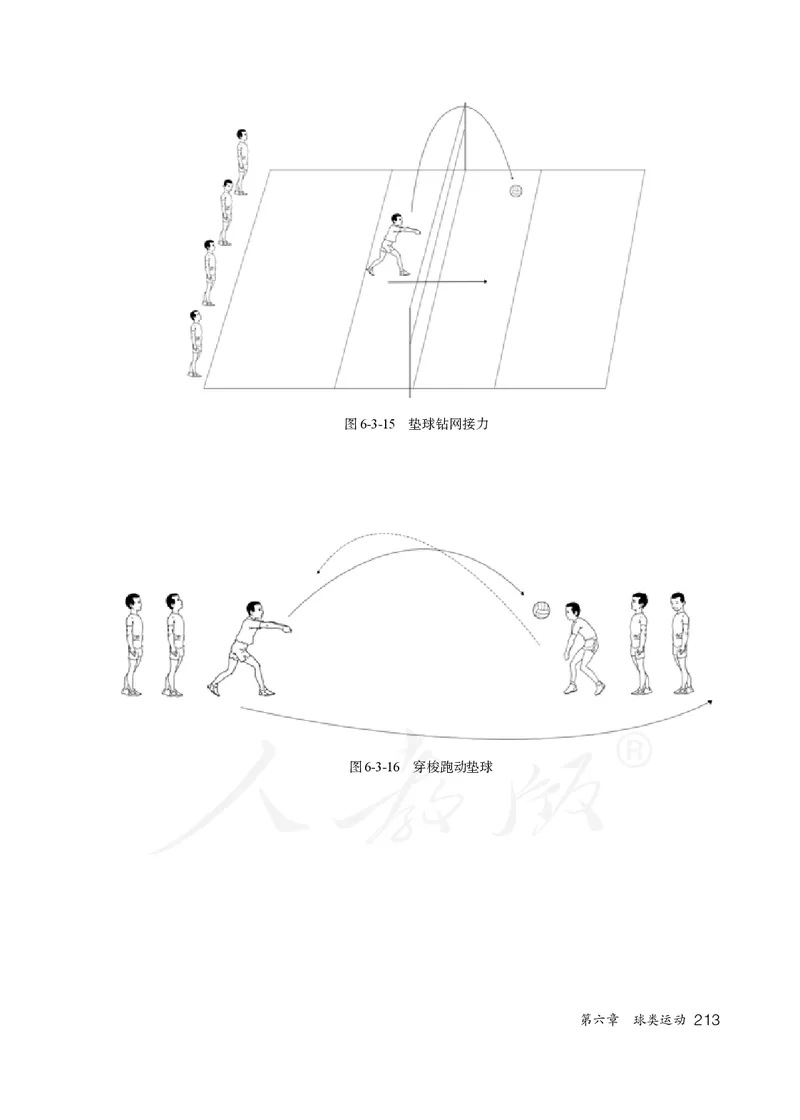 小学五六年级体育与健康_教资初高中_教资面试2025教资面试备考资料合集_教资面试资料合集_3、教资面试资料包大全_45大圣中小幼面试资料包_小学_体育_电子课本