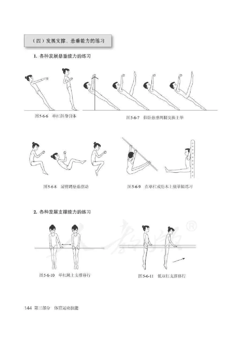 体育5-6年级_教资初高中_教资面试2025教资面试备考资料合集_教资面试资料合集_2025教资面试资料_25上教资面试中学合集_教资面试逐字稿_小学体育面试逐字稿和教案_电子课本体育