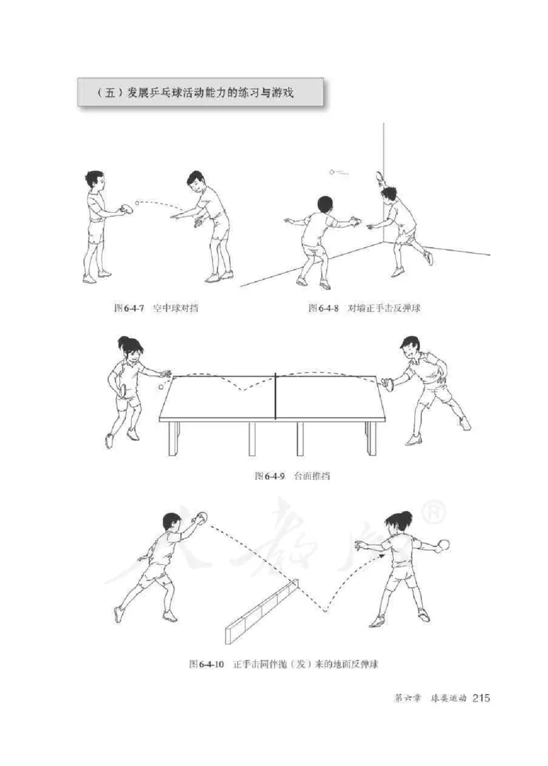 体育5-6年级_教资初高中_教资面试2025教资面试备考资料合集_教资面试资料合集_2025教资面试资料_25上教资面试中学合集_教资面试逐字稿_小学体育面试逐字稿和教案_电子课本体育