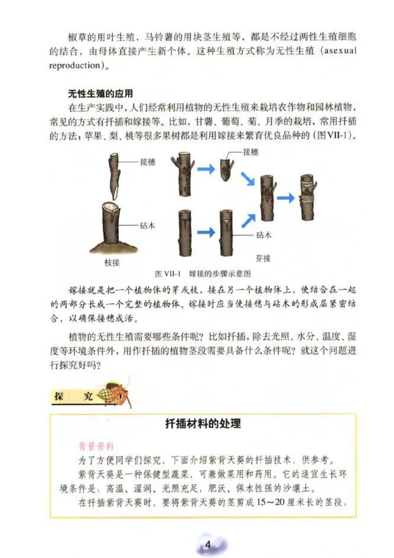 初中_生物_8_2(1)_教资初高中_教资面试2025教资面试备考资料合集_教资面试资料合集_2025教资面试资料_25上教资面试-小学资料包_20教材：全册_初中_初中生物