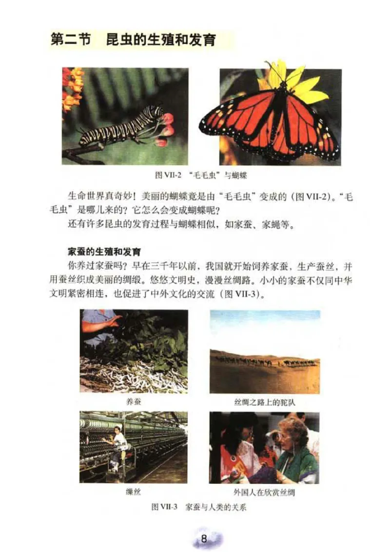 初中_生物_8_2(1)_教资初高中_教资面试2025教资面试备考资料合集_教资面试资料合集_2025教资面试资料_25上教资面试-小学资料包_20教材：全册_初中_初中生物