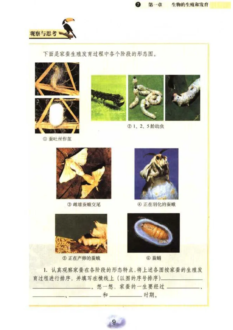 初中_生物_8_2(1)_教资初高中_教资面试2025教资面试备考资料合集_教资面试资料合集_2025教资面试资料_25上教资面试-小学资料包_20教材：全册_初中_初中生物