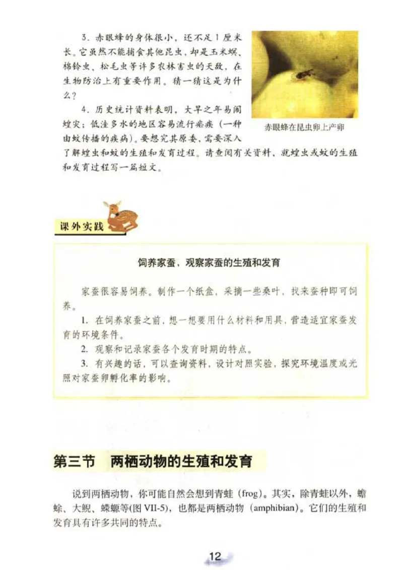 初中_生物_8_2(1)_教资初高中_教资面试2025教资面试备考资料合集_教资面试资料合集_2025教资面试资料_25上教资面试-小学资料包_20教材：全册_初中_初中生物