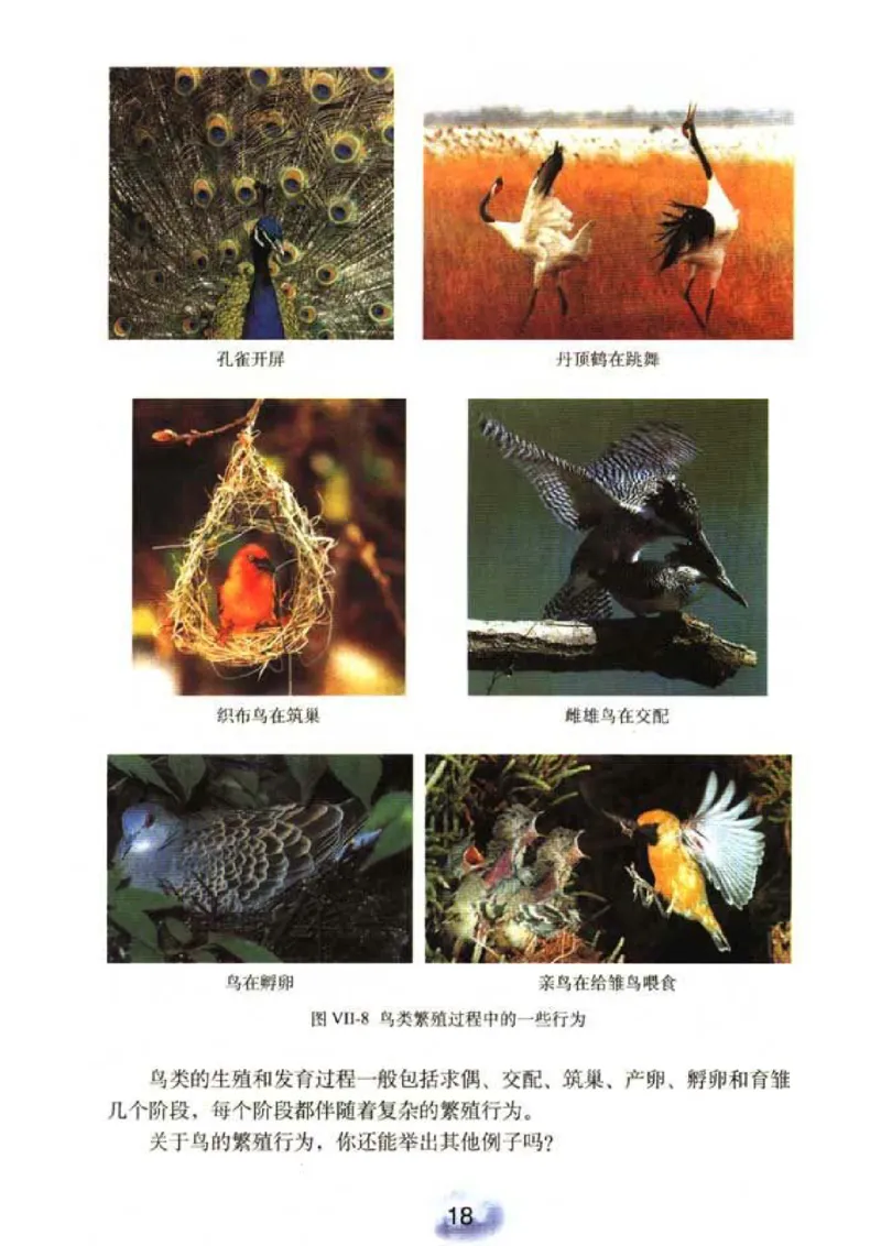 初中_生物_8_2(1)_教资初高中_教资面试2025教资面试备考资料合集_教资面试资料合集_2025教资面试资料_25上教资面试-小学资料包_20教材：全册_初中_初中生物