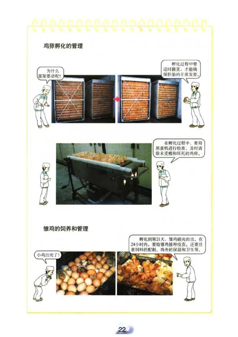 初中_生物_8_2(1)_教资初高中_教资面试2025教资面试备考资料合集_教资面试资料合集_2025教资面试资料_25上教资面试-小学资料包_20教材：全册_初中_初中生物