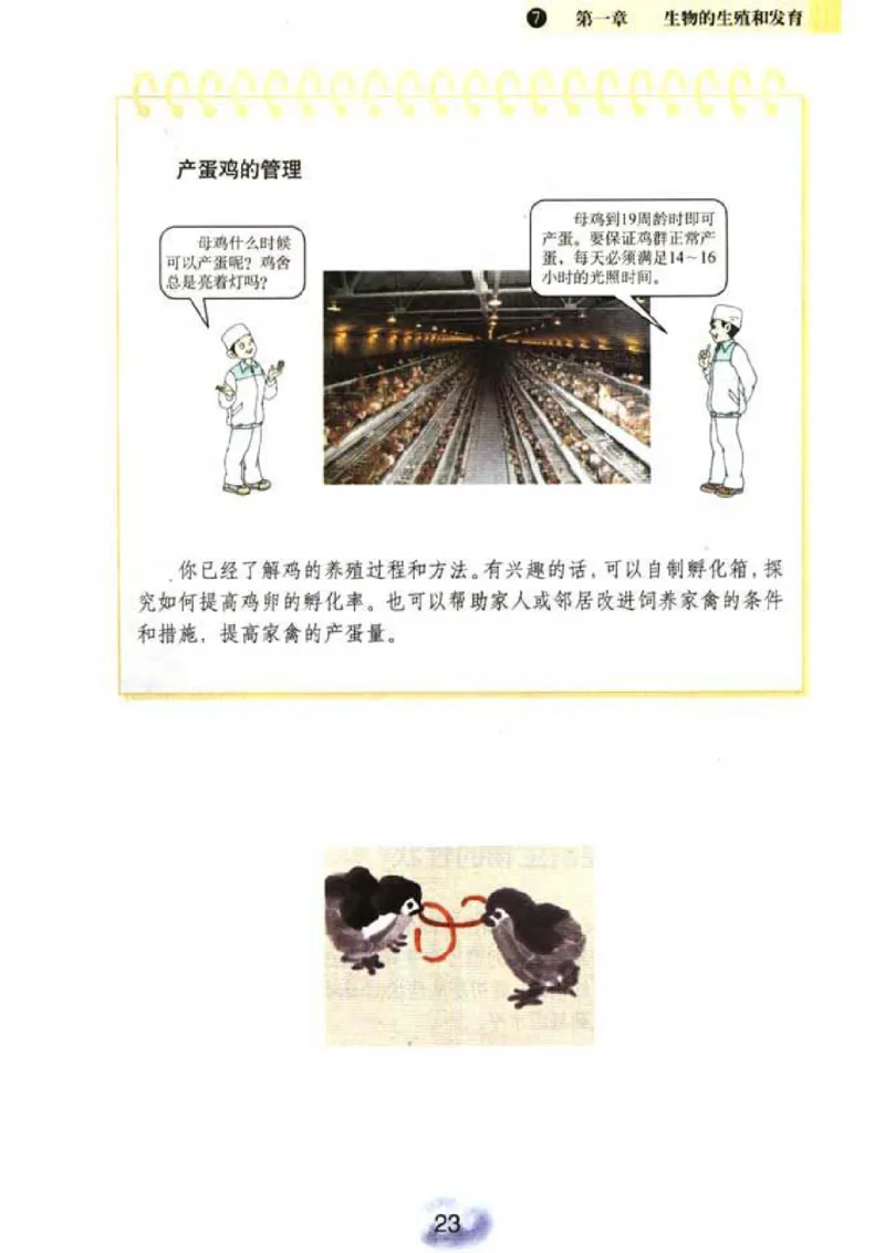 初中_生物_8_2(1)_教资初高中_教资面试2025教资面试备考资料合集_教资面试资料合集_2025教资面试资料_25上教资面试-小学资料包_20教材：全册_初中_初中生物