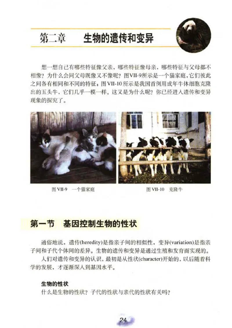 初中_生物_8_2(1)_教资初高中_教资面试2025教资面试备考资料合集_教资面试资料合集_2025教资面试资料_25上教资面试-小学资料包_20教材：全册_初中_初中生物