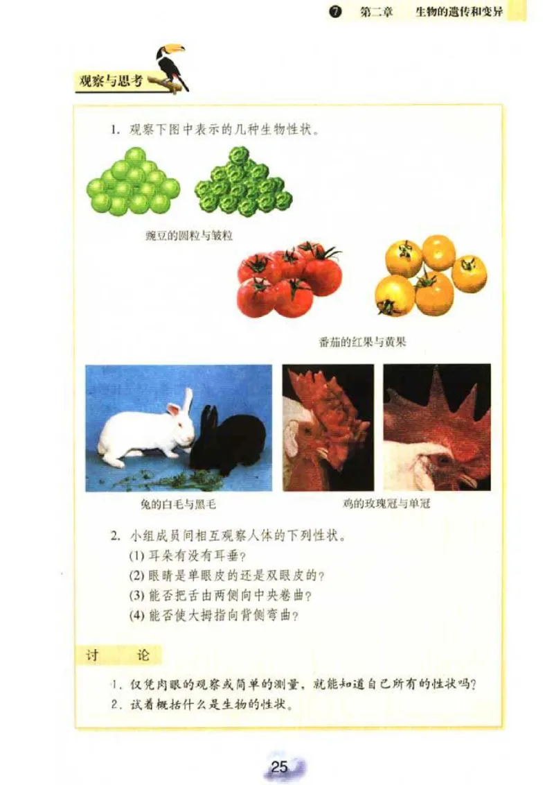 初中_生物_8_2(1)_教资初高中_教资面试2025教资面试备考资料合集_教资面试资料合集_2025教资面试资料_25上教资面试-小学资料包_20教材：全册_初中_初中生物