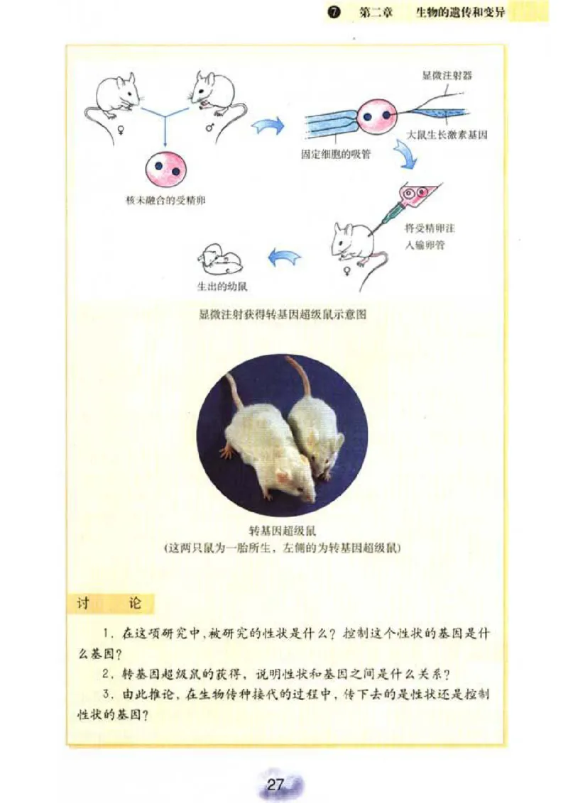 初中_生物_8_2(1)_教资初高中_教资面试2025教资面试备考资料合集_教资面试资料合集_2025教资面试资料_25上教资面试-小学资料包_20教材：全册_初中_初中生物