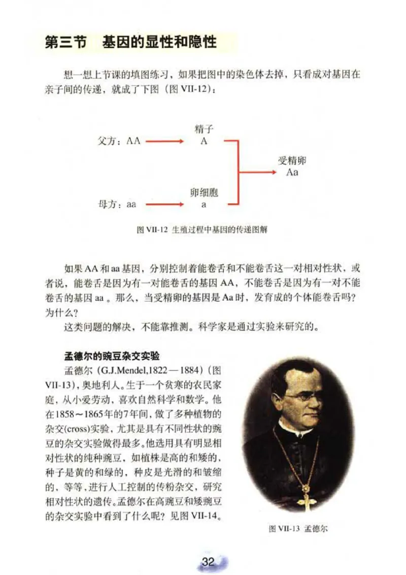 初中_生物_8_2(1)_教资初高中_教资面试2025教资面试备考资料合集_教资面试资料合集_2025教资面试资料_25上教资面试-小学资料包_20教材：全册_初中_初中生物