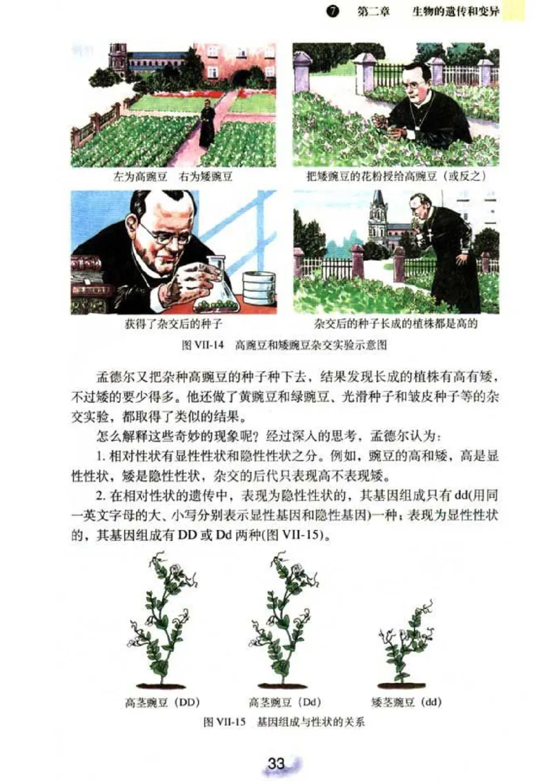 初中_生物_8_2(1)_教资初高中_教资面试2025教资面试备考资料合集_教资面试资料合集_2025教资面试资料_25上教资面试-小学资料包_20教材：全册_初中_初中生物