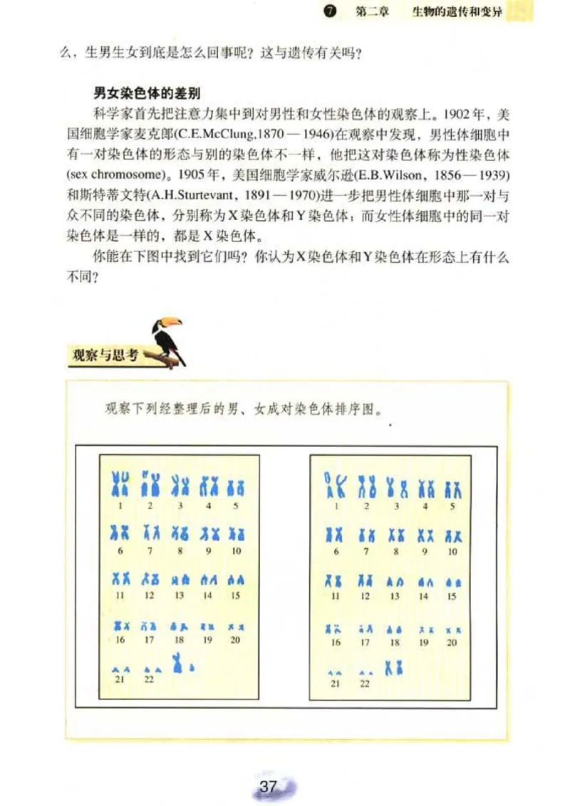 初中_生物_8_2(1)_教资初高中_教资面试2025教资面试备考资料合集_教资面试资料合集_2025教资面试资料_25上教资面试-小学资料包_20教材：全册_初中_初中生物