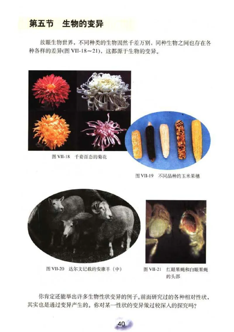 初中_生物_8_2(1)_教资初高中_教资面试2025教资面试备考资料合集_教资面试资料合集_2025教资面试资料_25上教资面试-小学资料包_20教材：全册_初中_初中生物