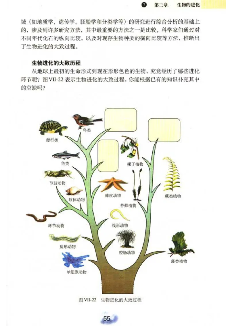 初中_生物_8_2(1)_教资初高中_教资面试2025教资面试备考资料合集_教资面试资料合集_2025教资面试资料_25上教资面试-小学资料包_20教材：全册_初中_初中生物