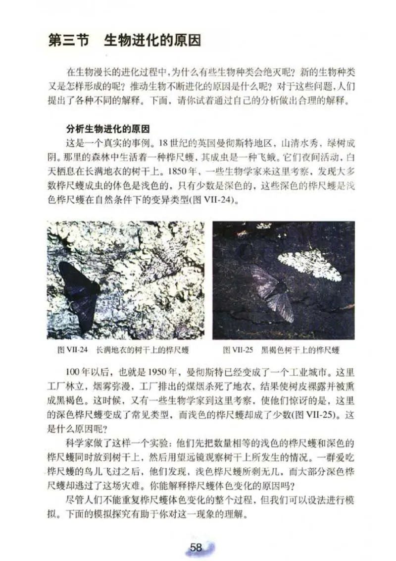 初中_生物_8_2(1)_教资初高中_教资面试2025教资面试备考资料合集_教资面试资料合集_2025教资面试资料_25上教资面试-小学资料包_20教材：全册_初中_初中生物