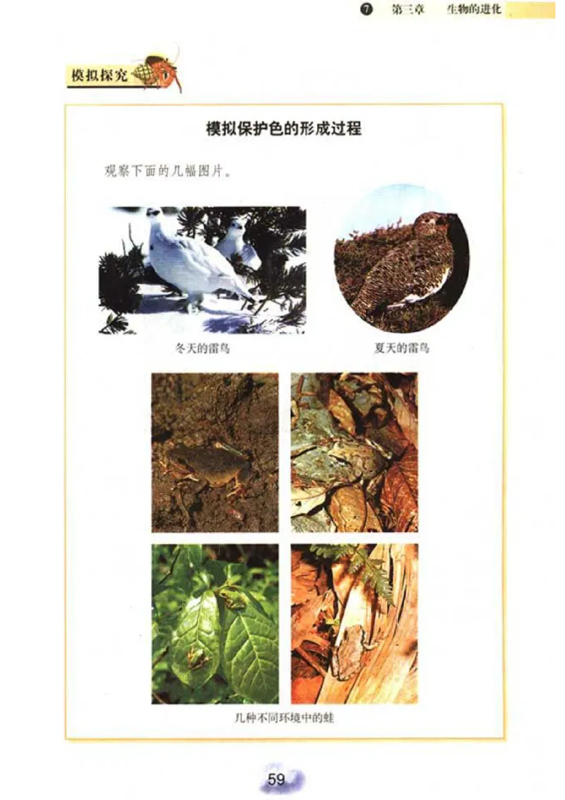 初中_生物_8_2(1)_教资初高中_教资面试2025教资面试备考资料合集_教资面试资料合集_2025教资面试资料_25上教资面试-小学资料包_20教材：全册_初中_初中生物