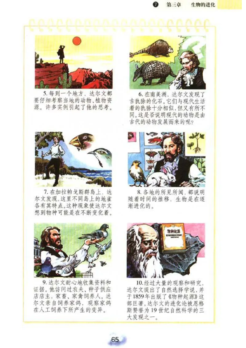 初中_生物_8_2(1)_教资初高中_教资面试2025教资面试备考资料合集_教资面试资料合集_2025教资面试资料_25上教资面试-小学资料包_20教材：全册_初中_初中生物