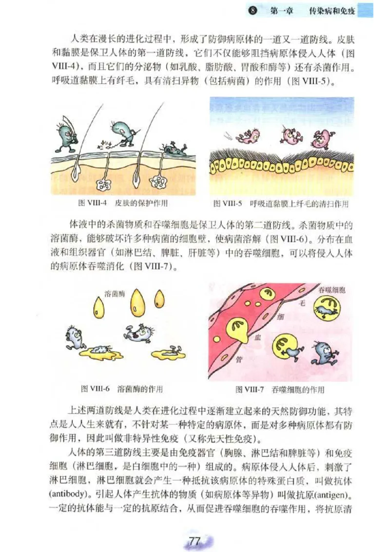 初中_生物_8_2(1)_教资初高中_教资面试2025教资面试备考资料合集_教资面试资料合集_2025教资面试资料_25上教资面试-小学资料包_20教材：全册_初中_初中生物